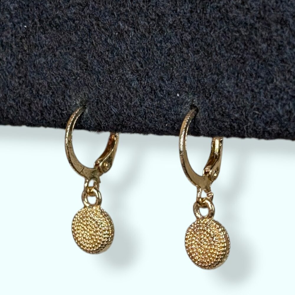 (2/$20) Dangling Textured Circle Earrings